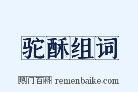 驼酥组词是什么意思的图片